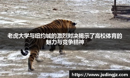 冰球突破平台